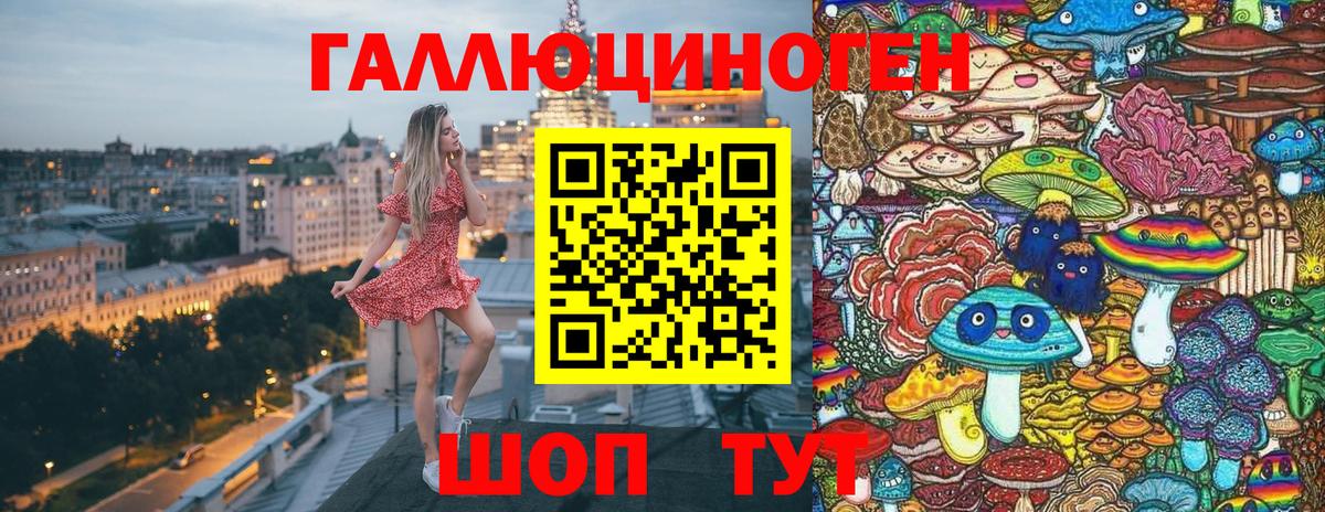 Псилоцибиновые грибы Psilocybine cubensis Саратов